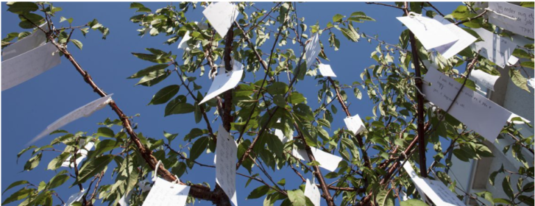 Publikum kan i 'Wish Tree Garden' skrive sit ønske på en seddel og hænge det på en af de mange træer. Foto: Siw Aldershvile.