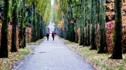 Assistens Kirkegård