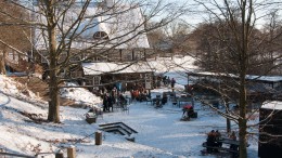 Skovbaren i Dyrehaven