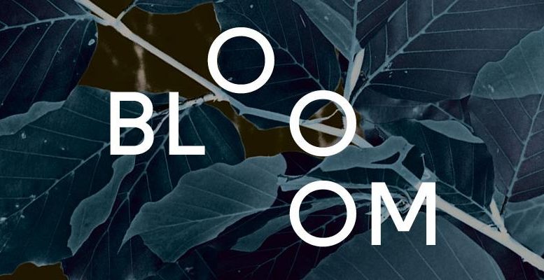 Bloom festival