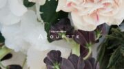 Alouette